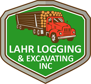 Thinning Logging 