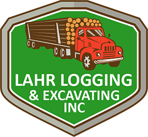 Selective Environmental Logging